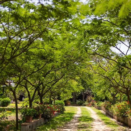 Donnafugata Villa Santa Domenica (Vibo Valentia)