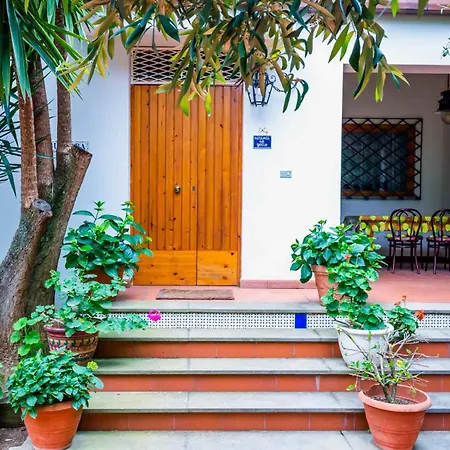 Donnafugata 산타도메니카