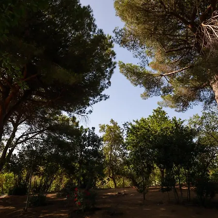 Donnafugata Santa Domenica (Vibo Valentia)