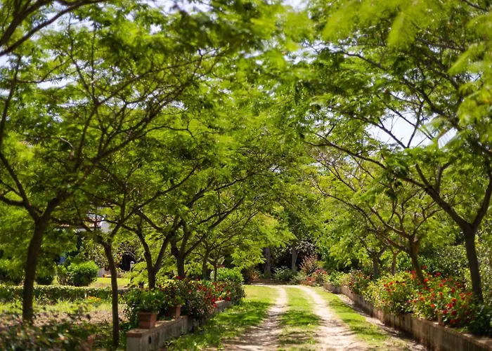 Donnafugata Villa Santa Domenica